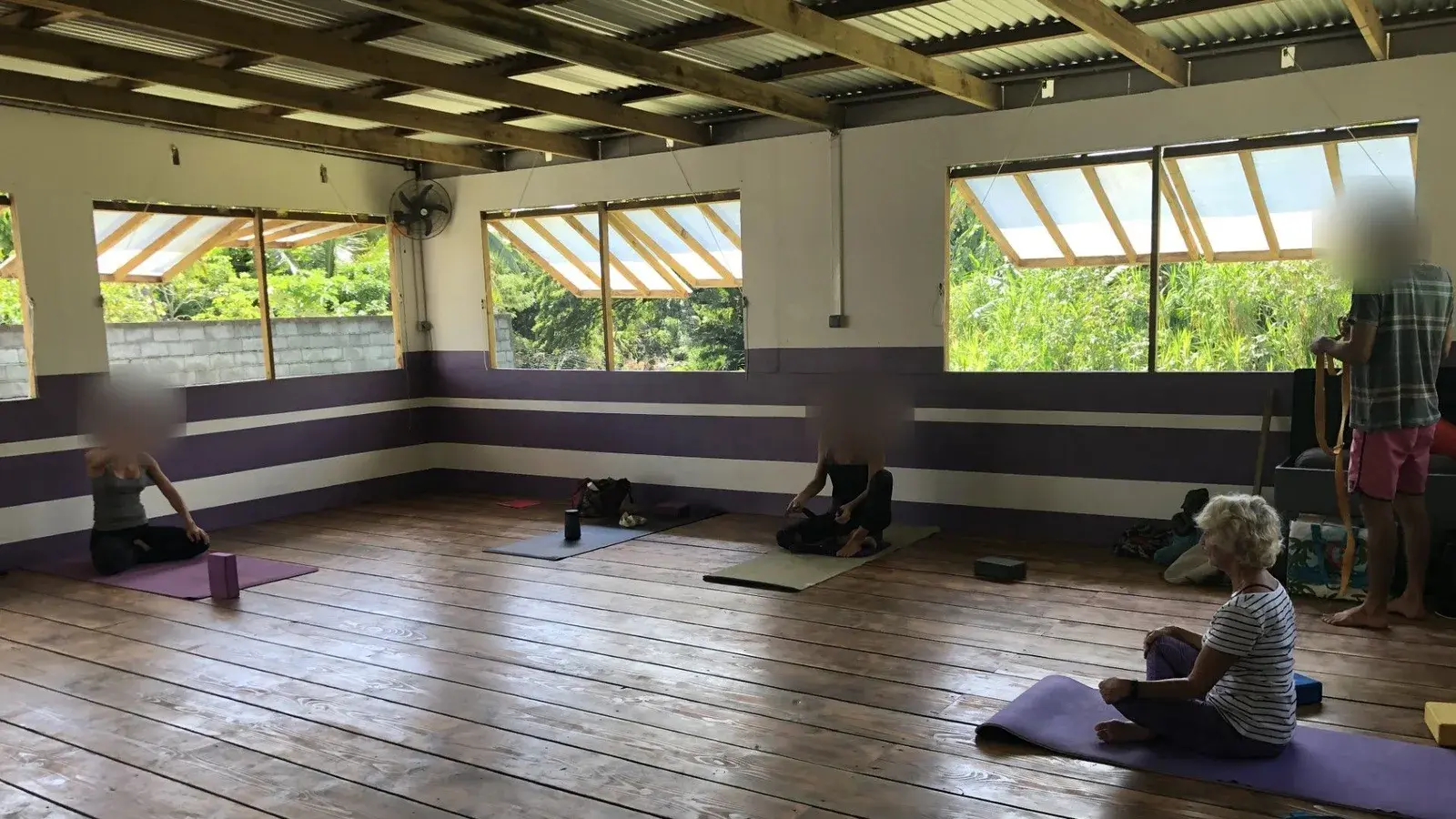 La salle du studio pendant un cours : plancher de bois, murs à bandes violettes et larges fenêtres ouvertes sur la végétation.